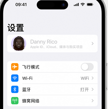 达孜appleID维修服务iPhone设置中Apple ID显示为灰色无法使用 