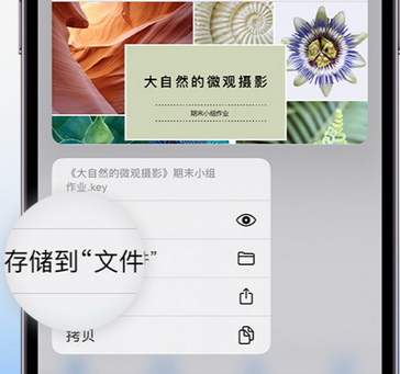 达孜apple维修中心分享iPhone文件应用中存储和找到下载文件