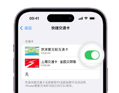 达孜apple维修点分享iPhone上更换Apple Pay快捷交通卡手绘卡面 