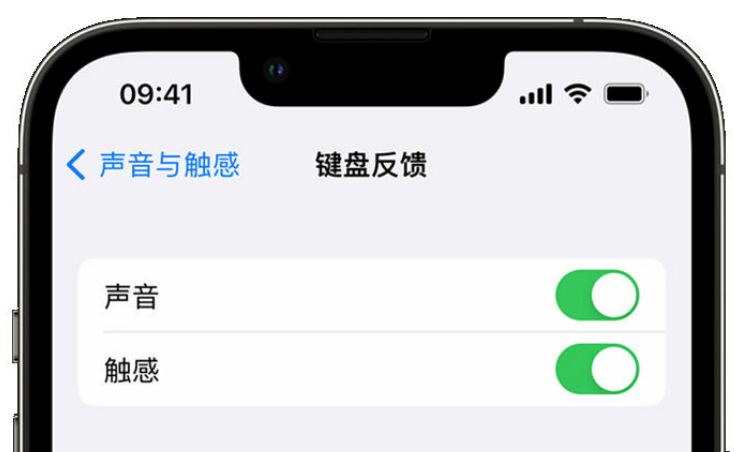 达孜苹果手机维修分享iPhone 14触感键盘使用方法 