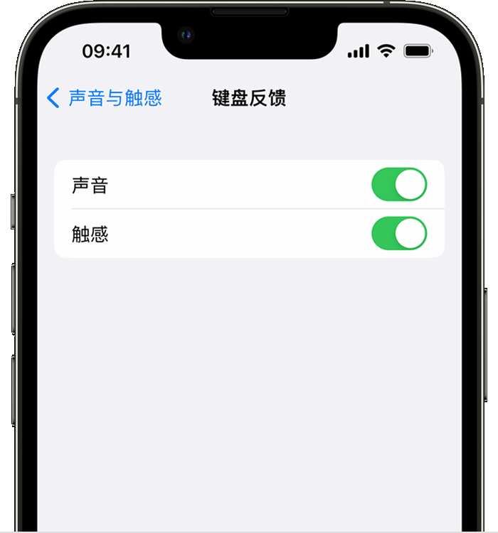 达孜苹果14维修店分享如何在 iPhone 14 机型中使用触感键盘 