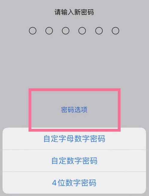 达孜苹果14维修分享iPhone 14plus设置密码的方法 