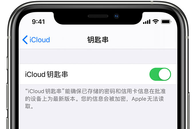 达孜苹果手机维修分享在 iPhone 上开启 iCloud 钥匙串之后会储存哪些信息 