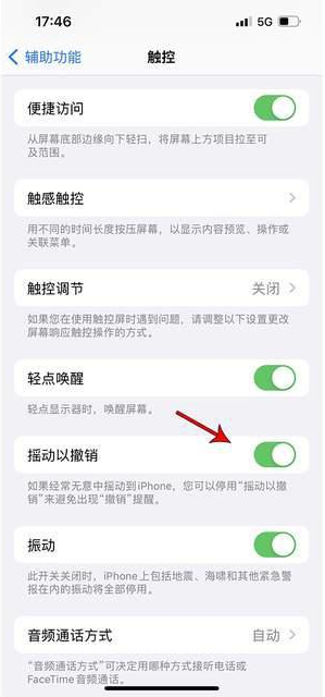 达孜苹果手机维修分享iPhone手机如何设置摇一摇删除文字 