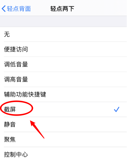 达孜苹果手机维修分享iPhone12如何启用双击截屏 